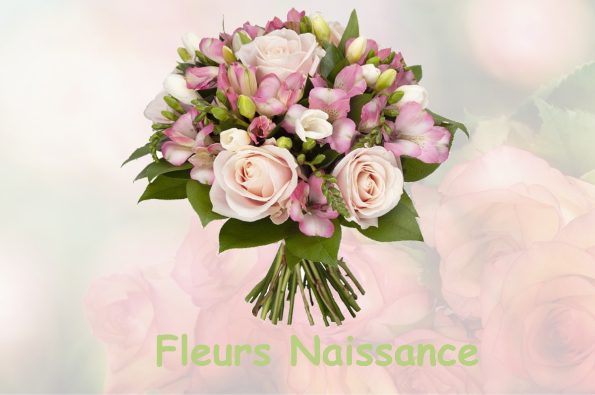 fleurs naissance LA-CLUSE-ET-MIJOUX